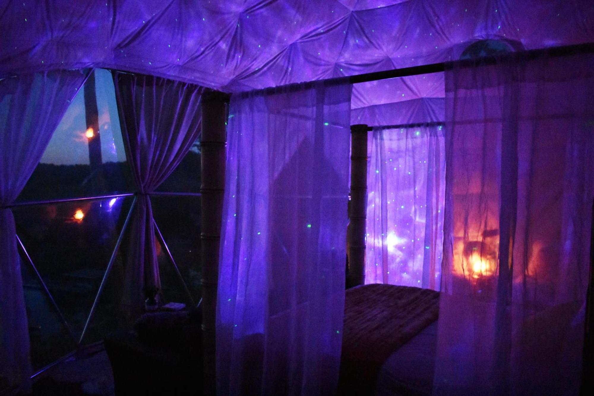 Waterfront Luxury Glamping Dome Hotell Rogersville Exteriör bild